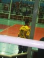 /album/galeria-de-fotos/ogaaaix4gegfauhfe28caqnkv9933raje0r1fzlytlqga-zljqkaiafnsfoqhxcvj-rdt9gab6zpmkc358tdjxi8ziam1t1uidsdyiye6v2in1ongylmdattrji-jpg/